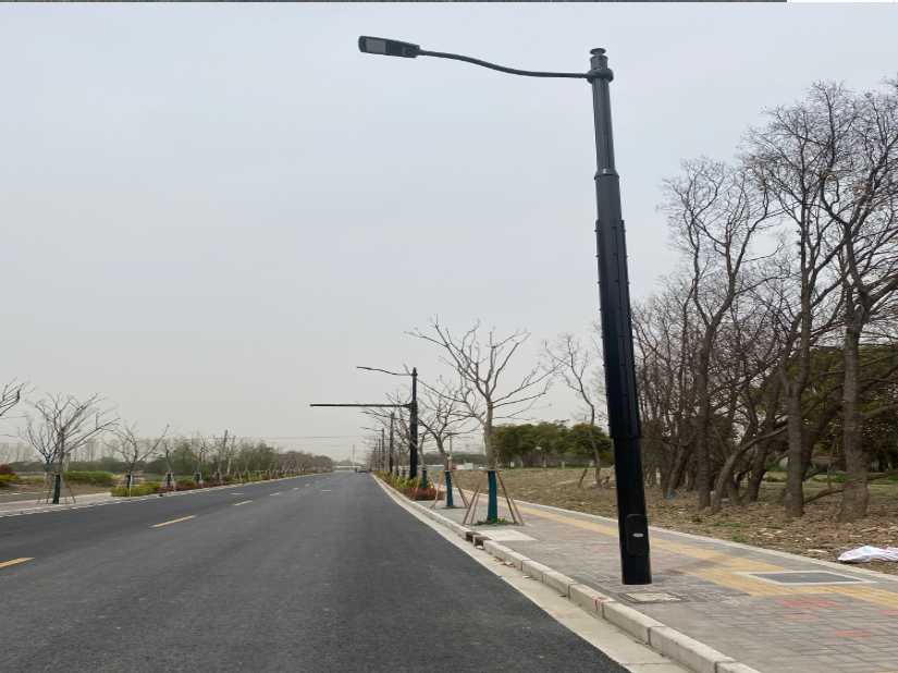 西工区上海综合杆 太阳能路灯工程